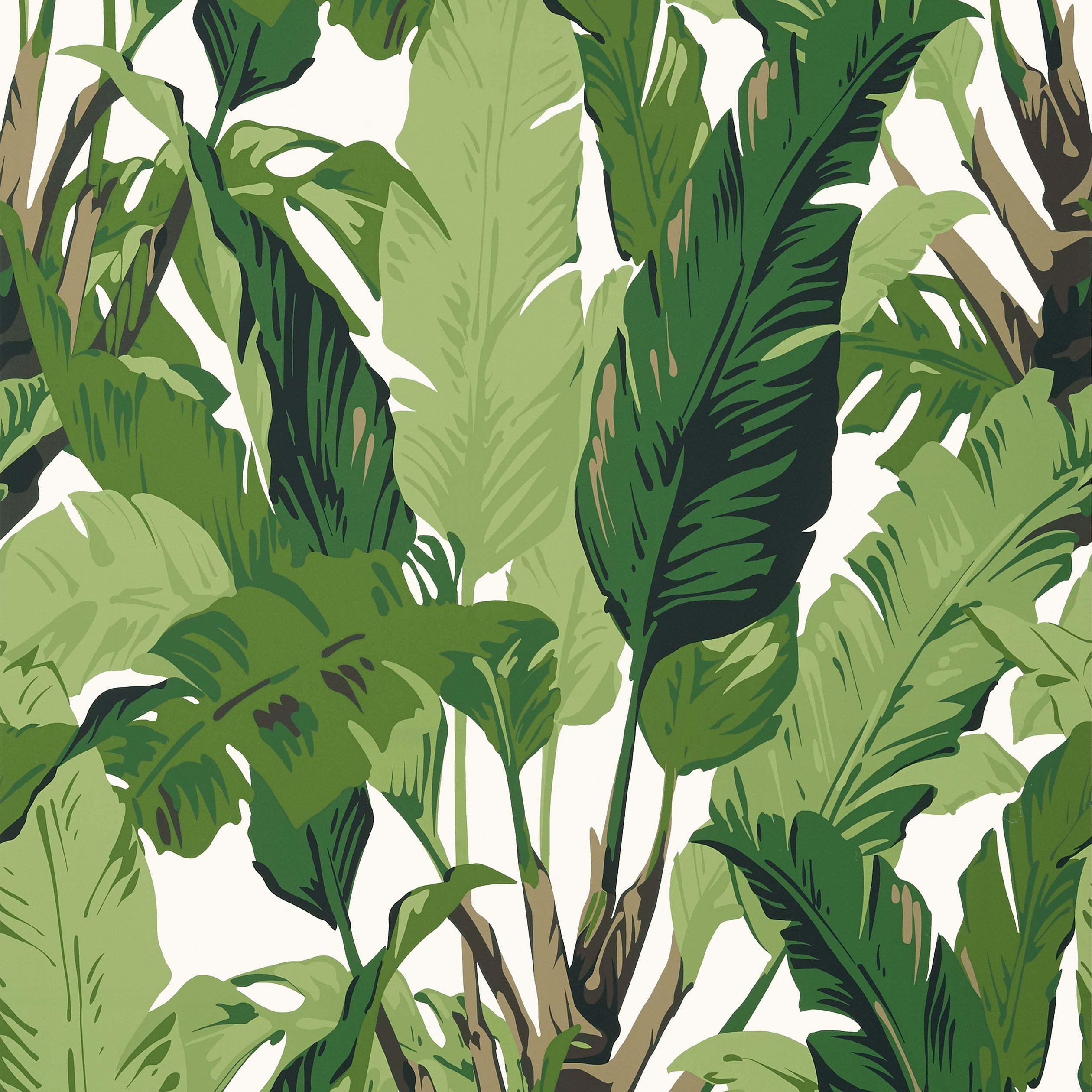 TRAVELERS PALM - Green