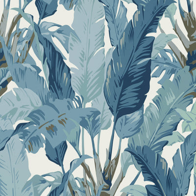 TRAVELERS PALM - Spa Blue