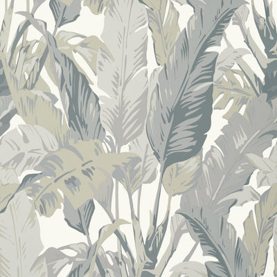 TRAVELERS PALM - Grey
