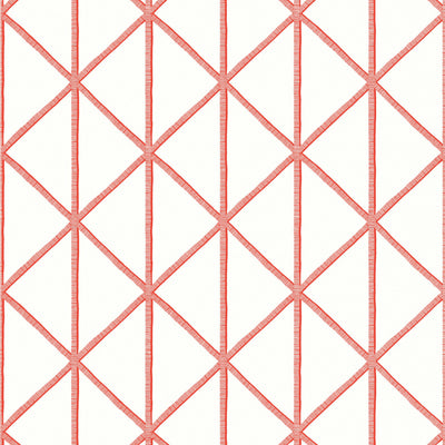 BOX KITE - Coral