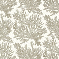 MARINE CORAL - Beige