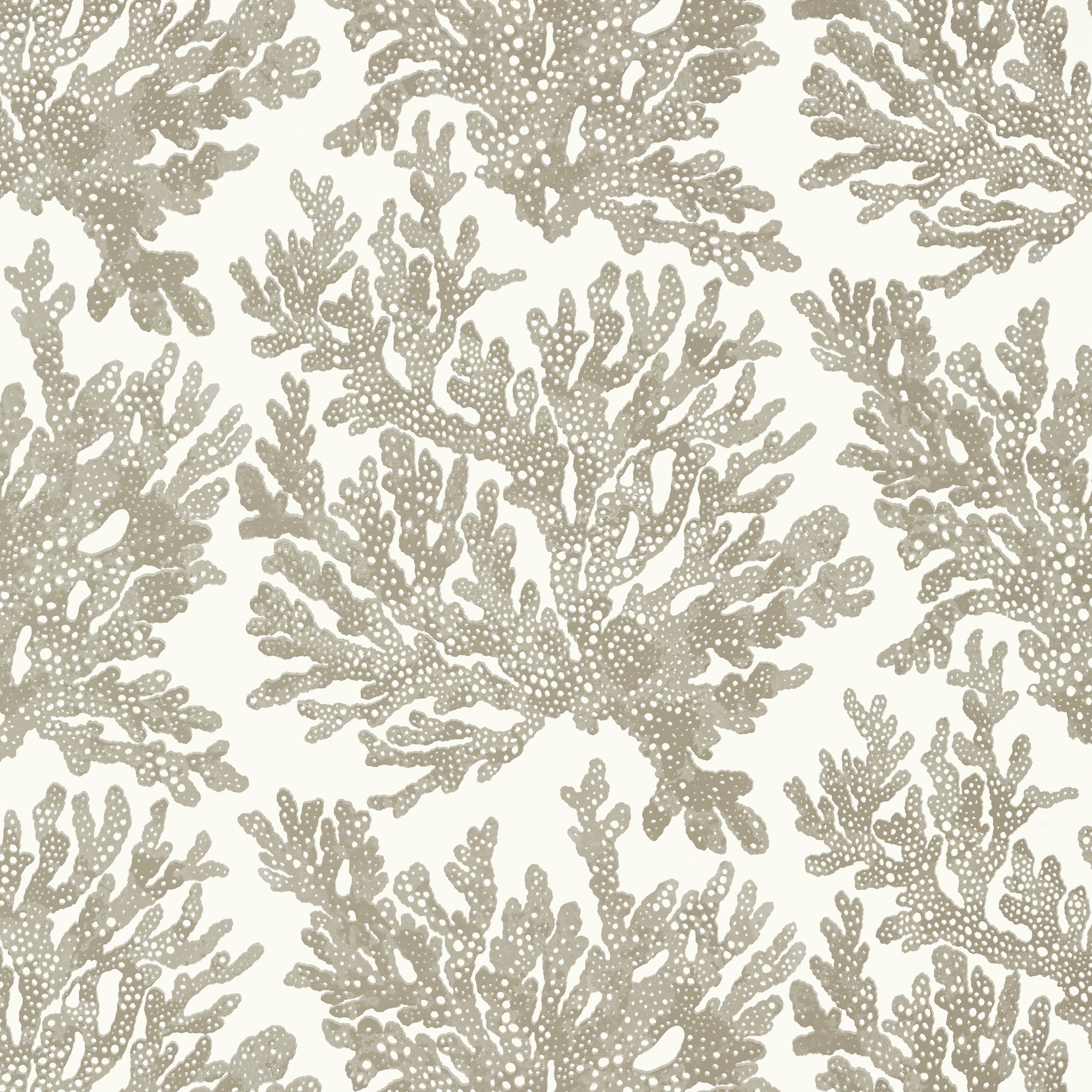 MARINE CORAL - Beige