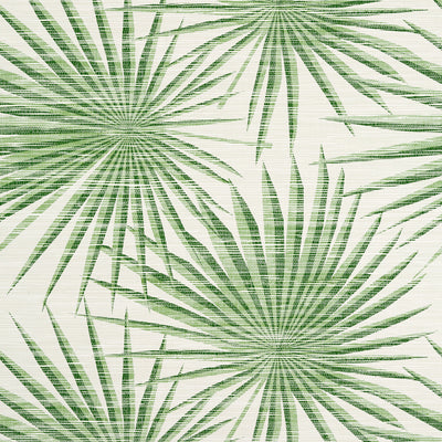 PALM FROND - Green and White