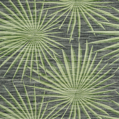 PALM FROND - Black and Green
