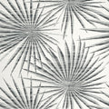 PALM FROND - Black and White