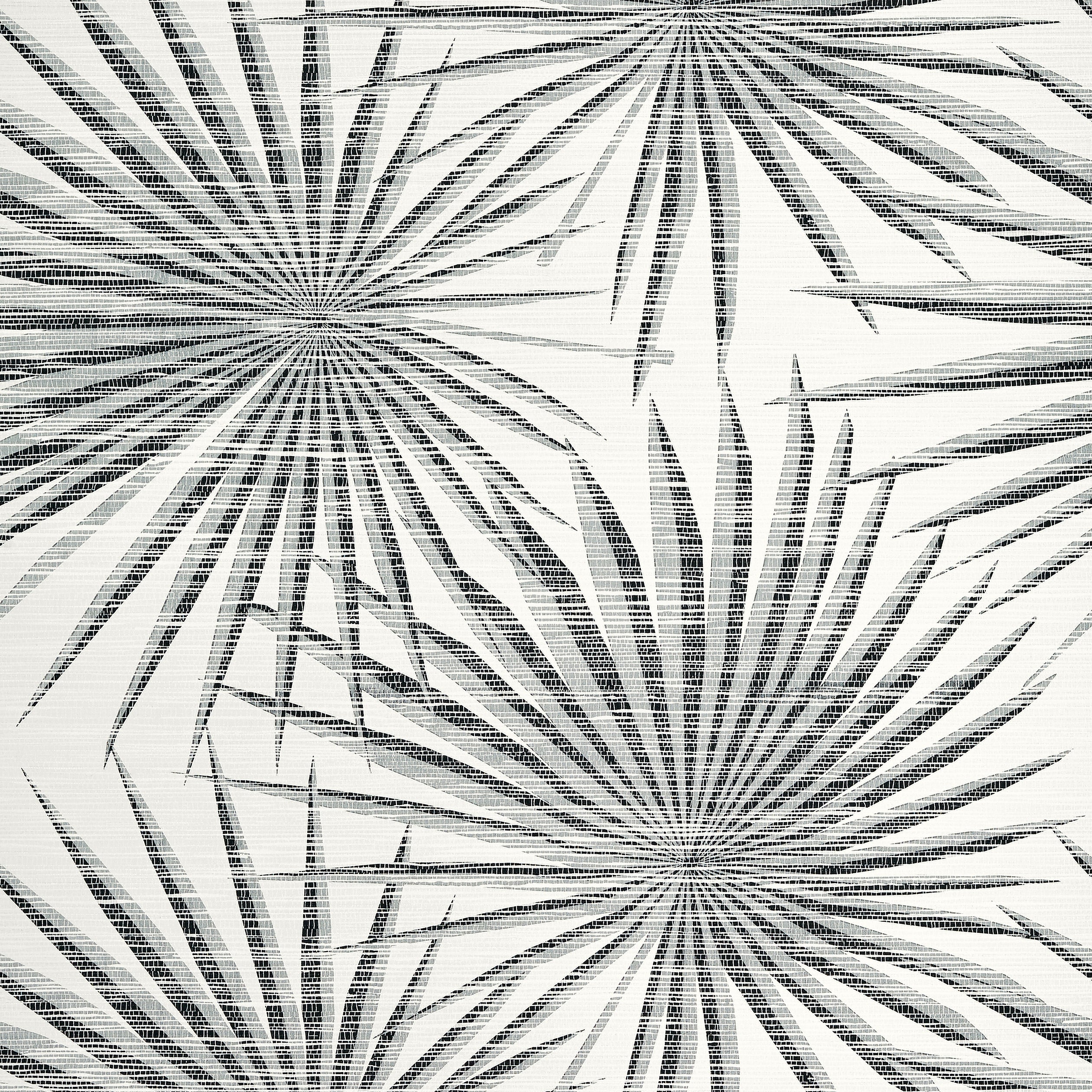PALM FROND - Black and White