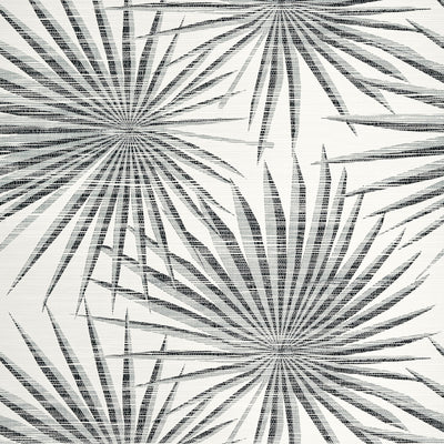 PALM FROND - Black and White