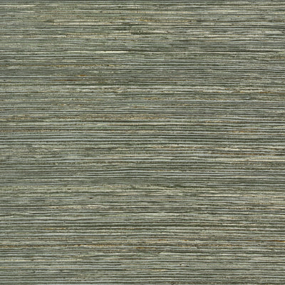 MAROMA - Olive
