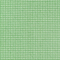 PAPER RATTAN - Kelly Green