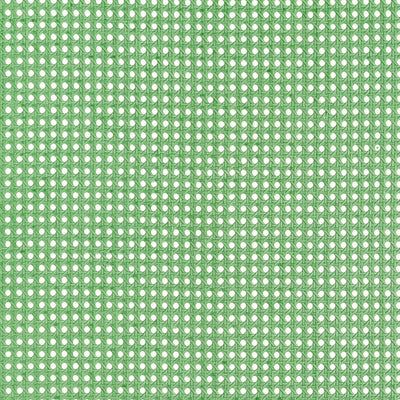 PAPER RATTAN - Kelly Green