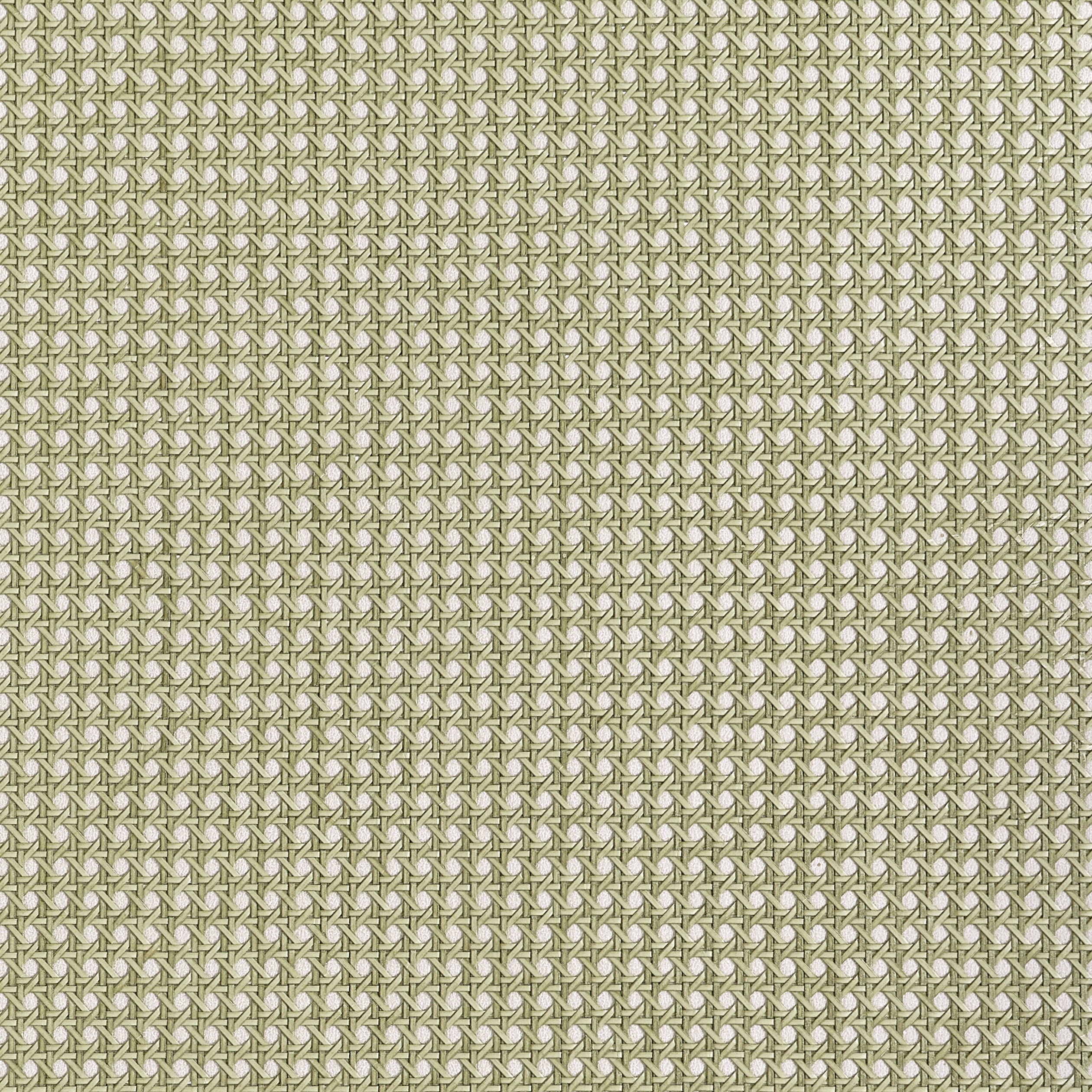 PAPER RATTAN - Olive