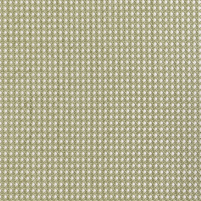 PAPER RATTAN - Olive