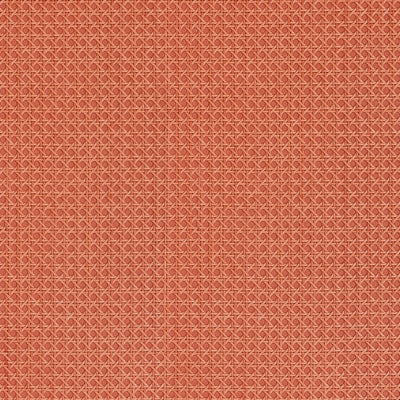 PAPER RATTAN - Coral