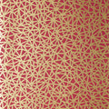 AEDAN - Raspberry