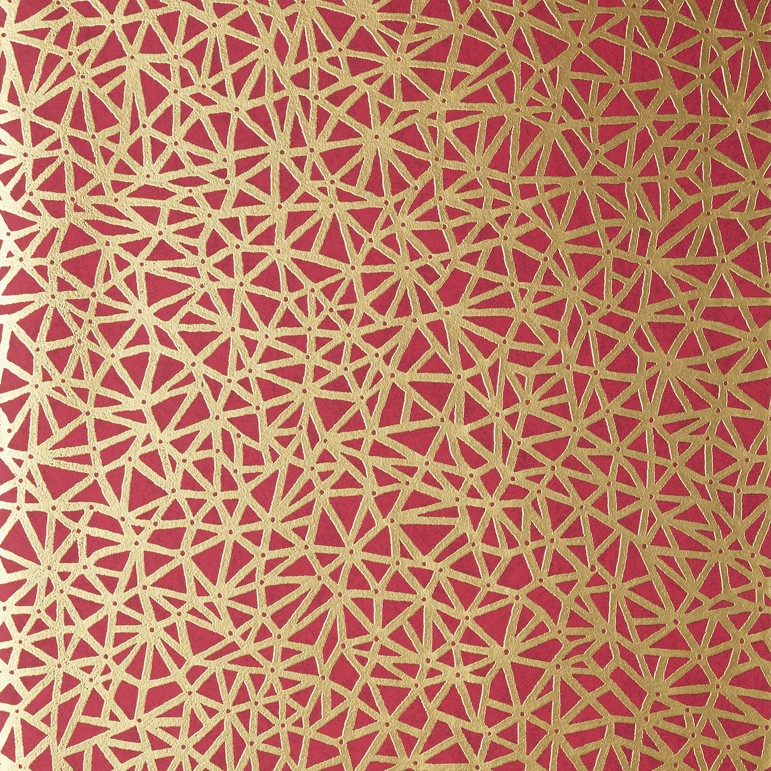 AEDAN - Raspberry