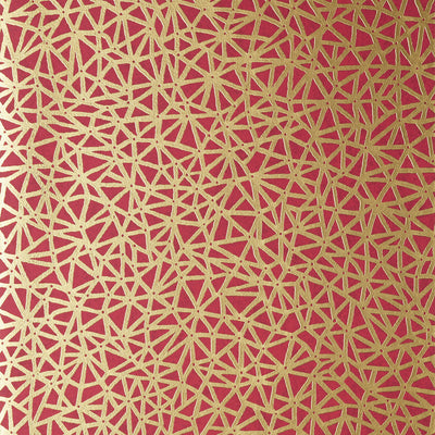 AEDAN - Raspberry