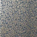 AEDAN - Navy