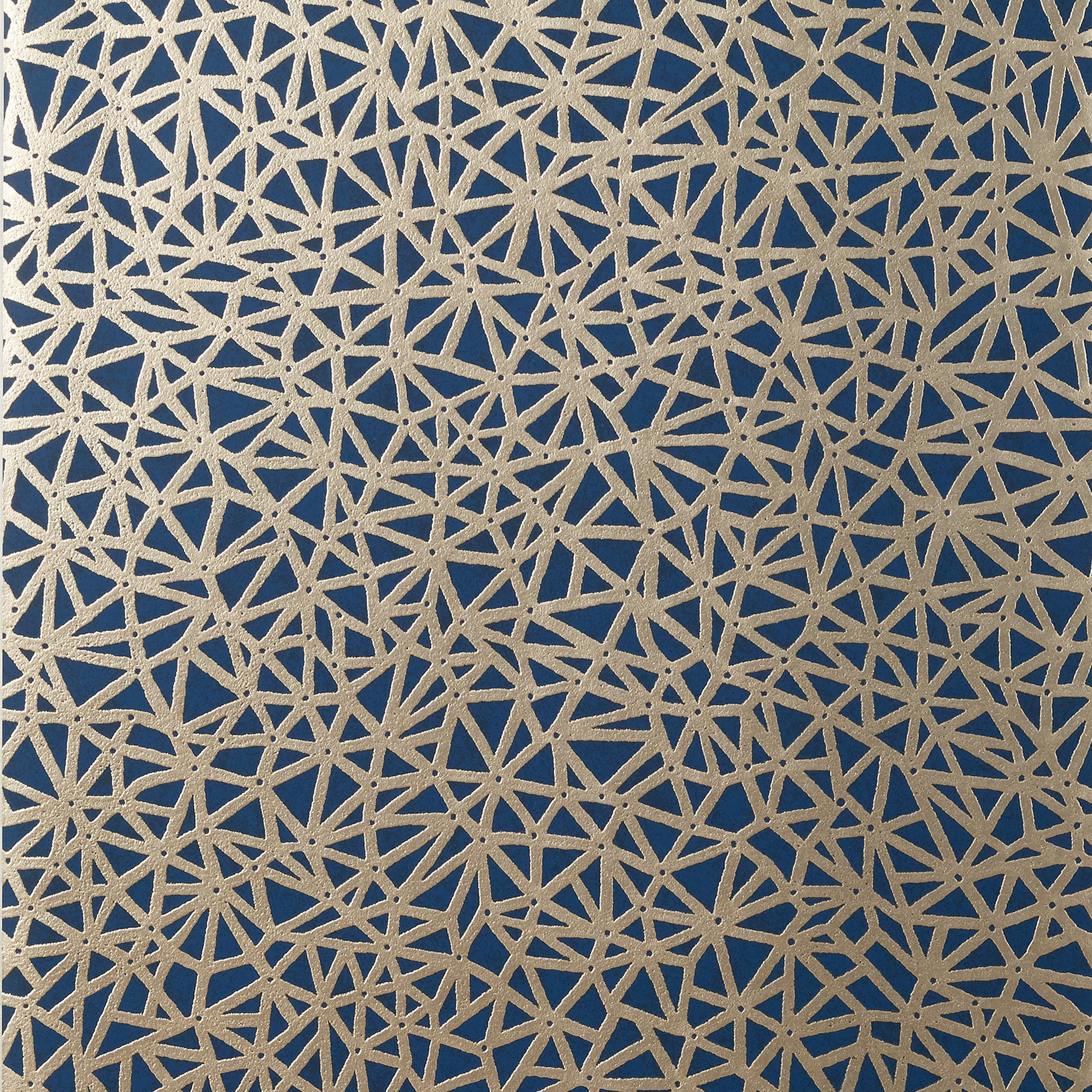 AEDAN - Navy