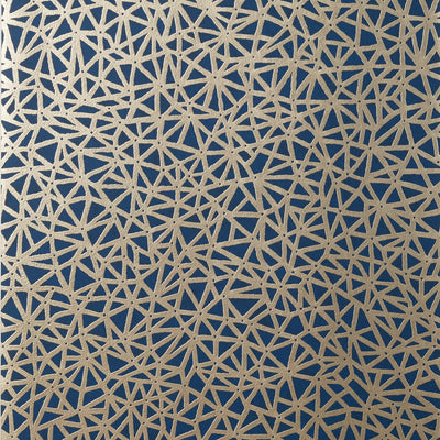 AEDAN - Navy