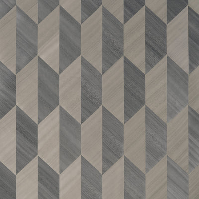 PARAGON - Charcoal