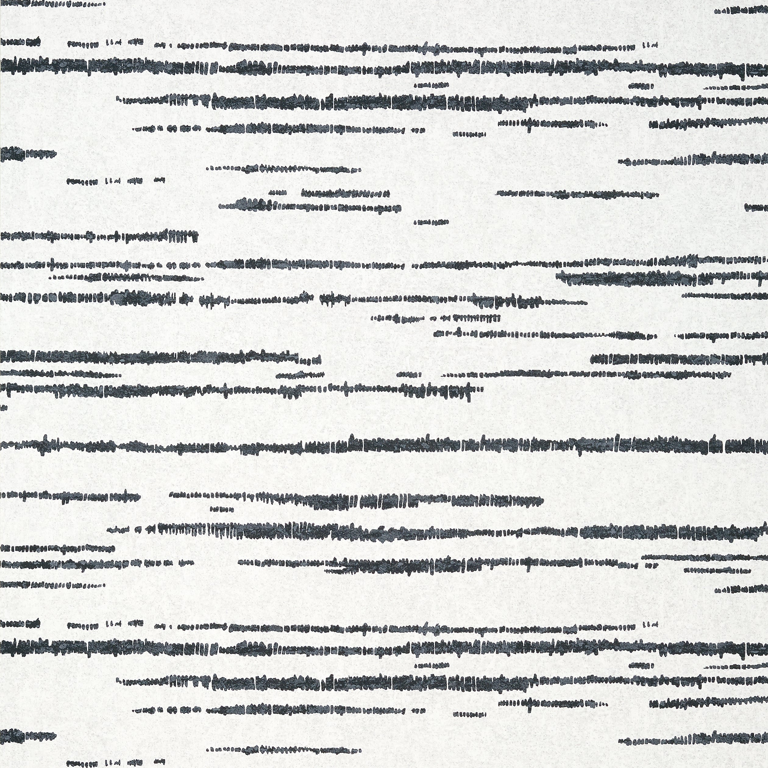 ECHO - Black on White