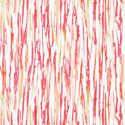AURORA - Cherry