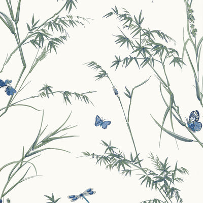 VIRGINIA - Blue and Green
