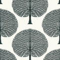 MULBERRY TREE - Black and White