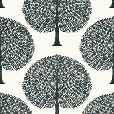 MULBERRY TREE - Black and White