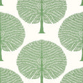 MULBERRY TREE - Green