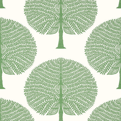 MULBERRY TREE - Green