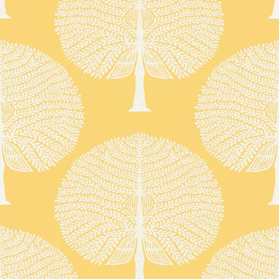 MULBERRY TREE - Yellow
