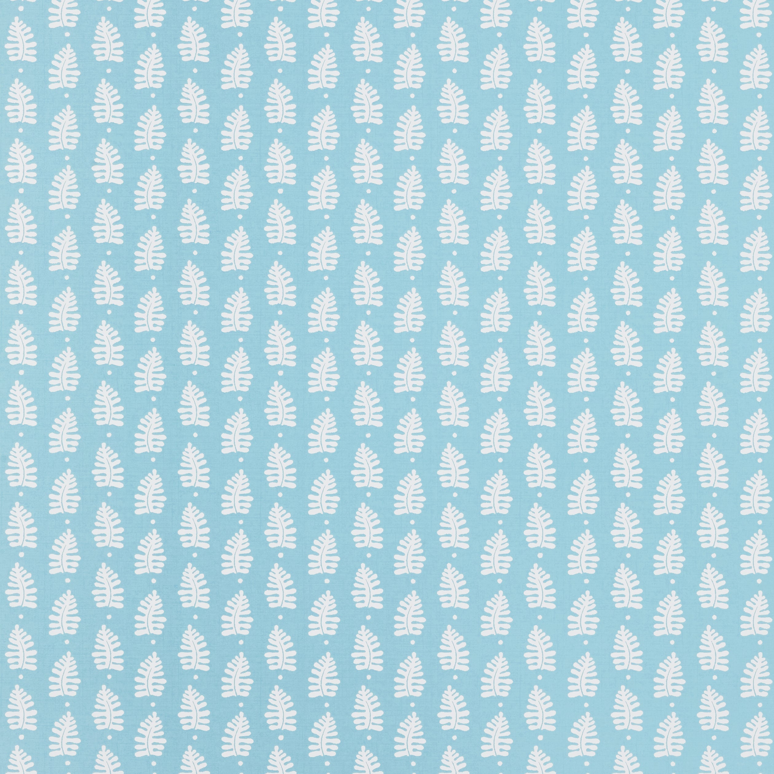FERNDALE - Turquoise