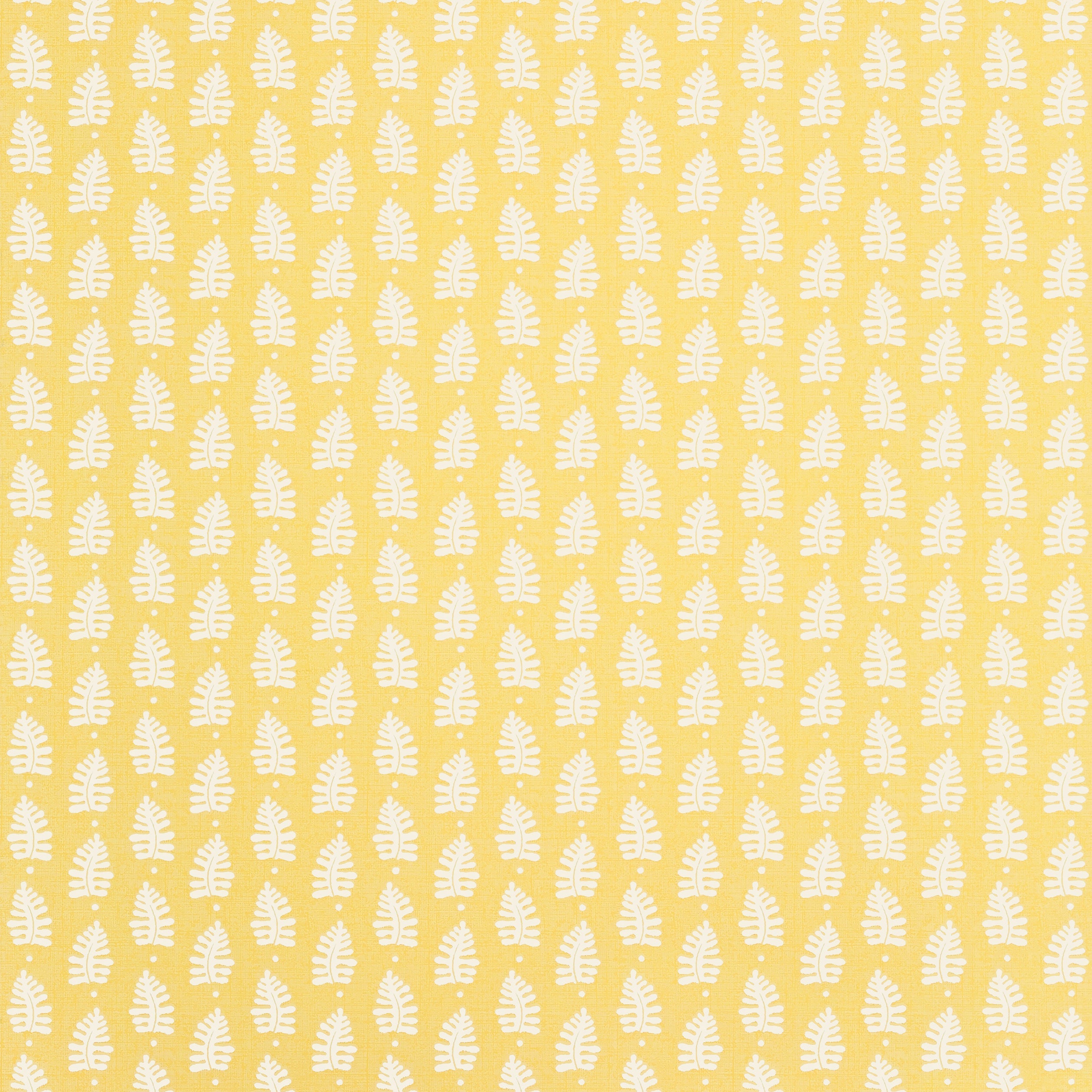 FERNDALE - Yellow