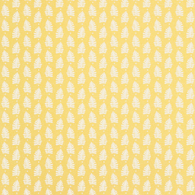 FERNDALE - Yellow