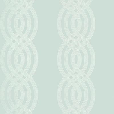 BRAID - Robin's Egg