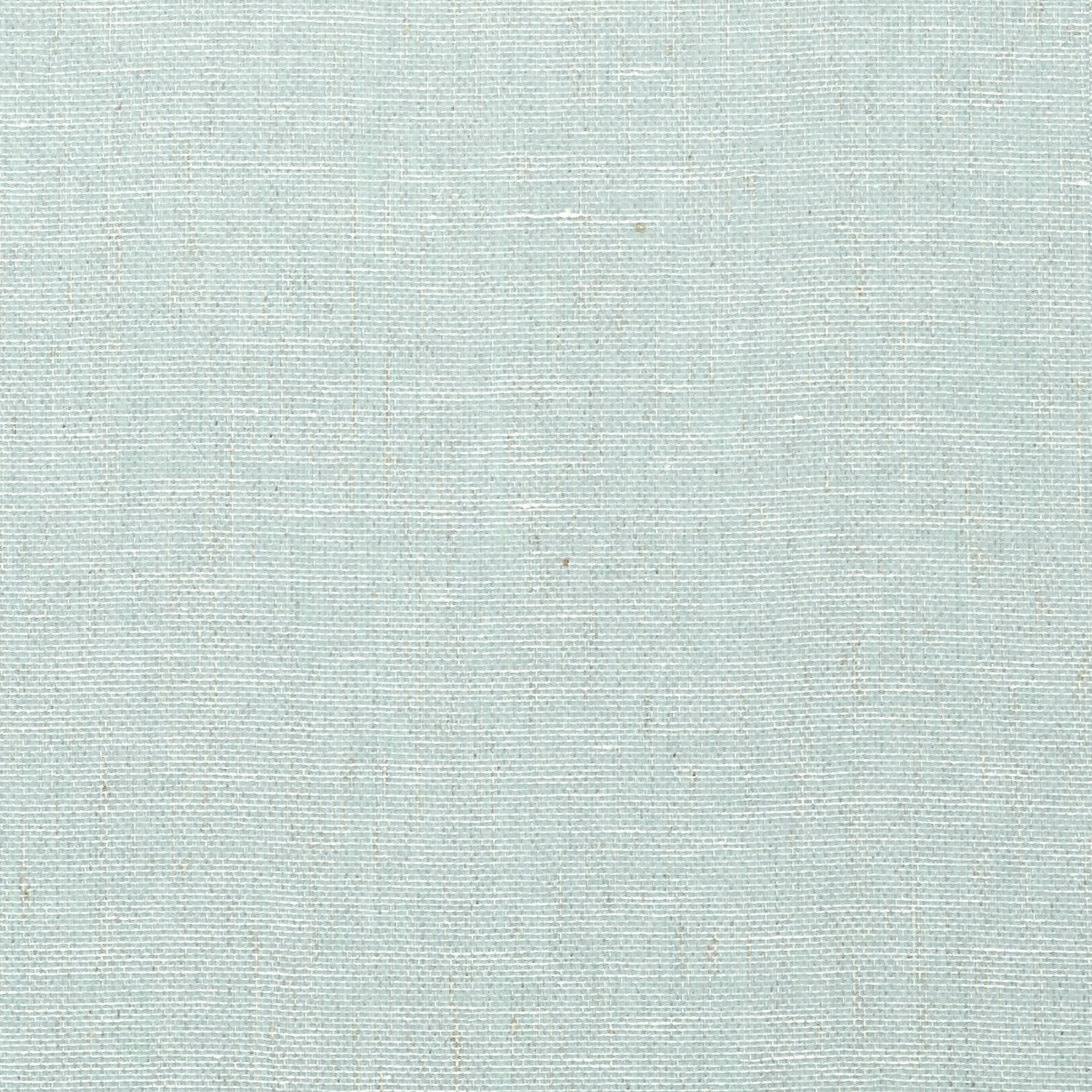 VILLA GARDEN TEXTURE - Robin's Egg