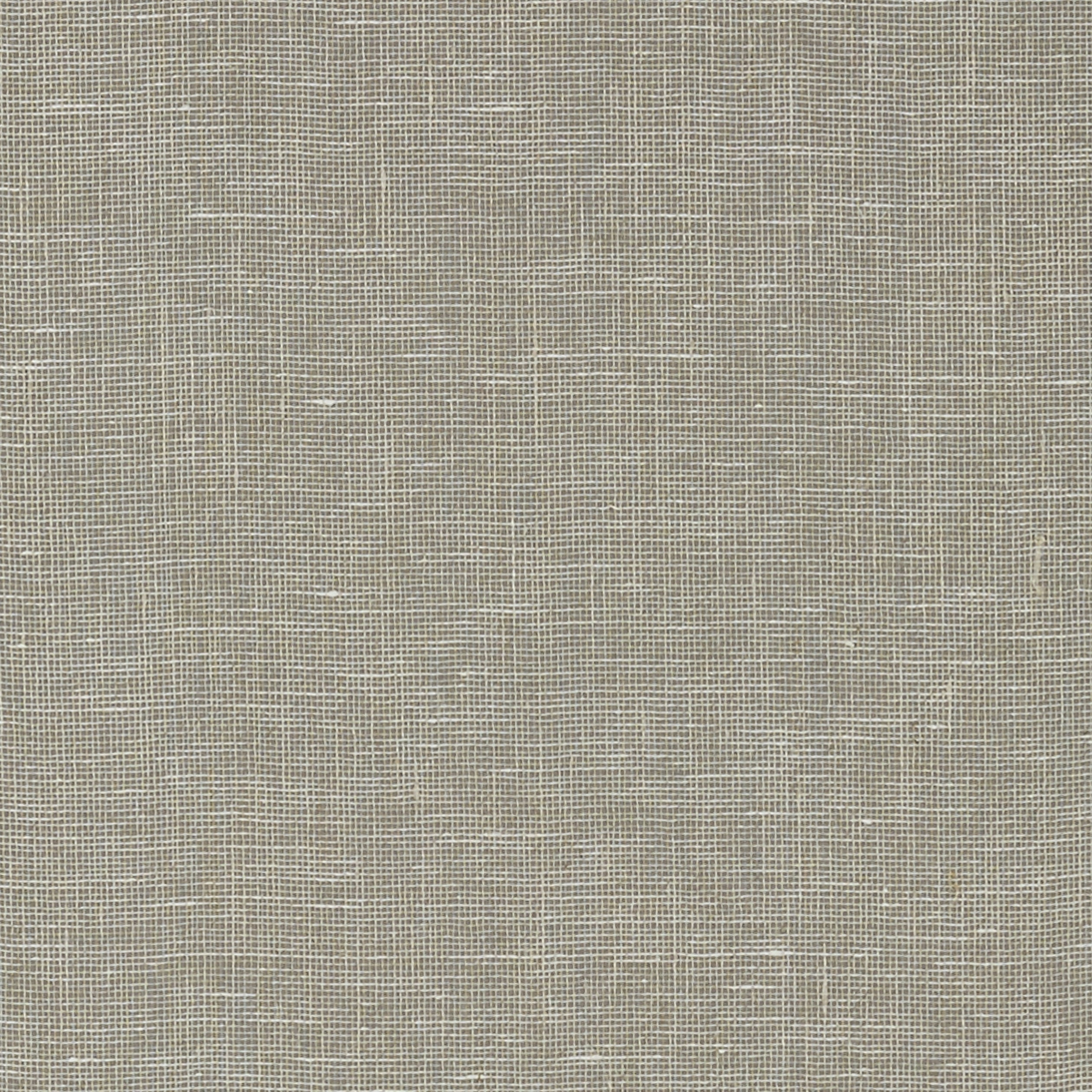 VILLA GARDEN TEXTURE - Charcoal