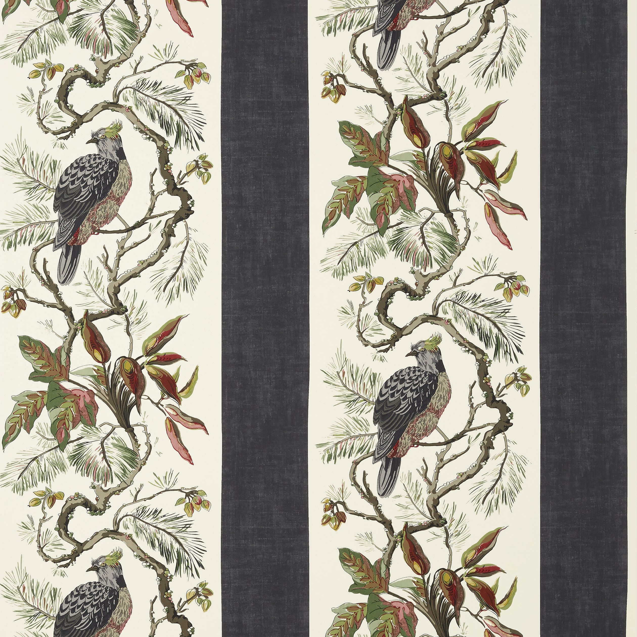WILLIAMSON - Black