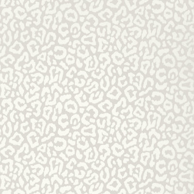 JAVAN - Grey