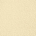 JAVAN - Beige
