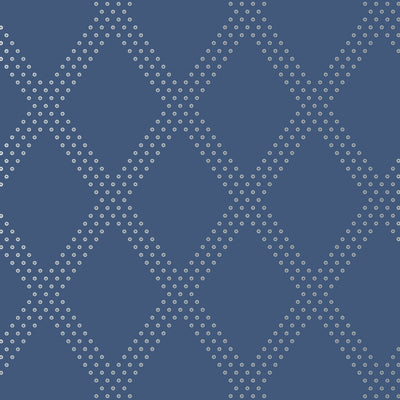 BRAD - Silver on Navy