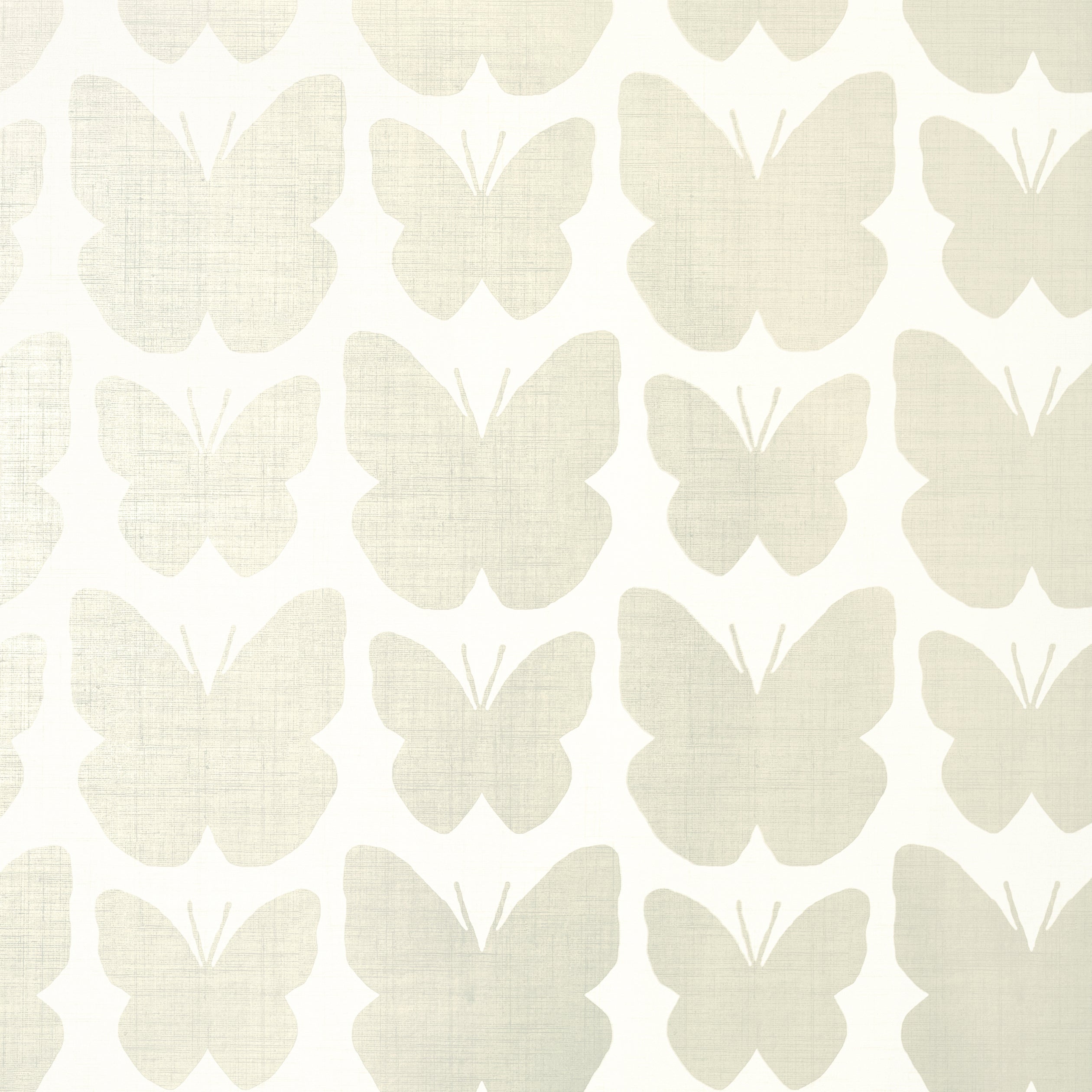 ALDORA - Pearl on White