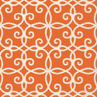 KENDALL - Persimmon