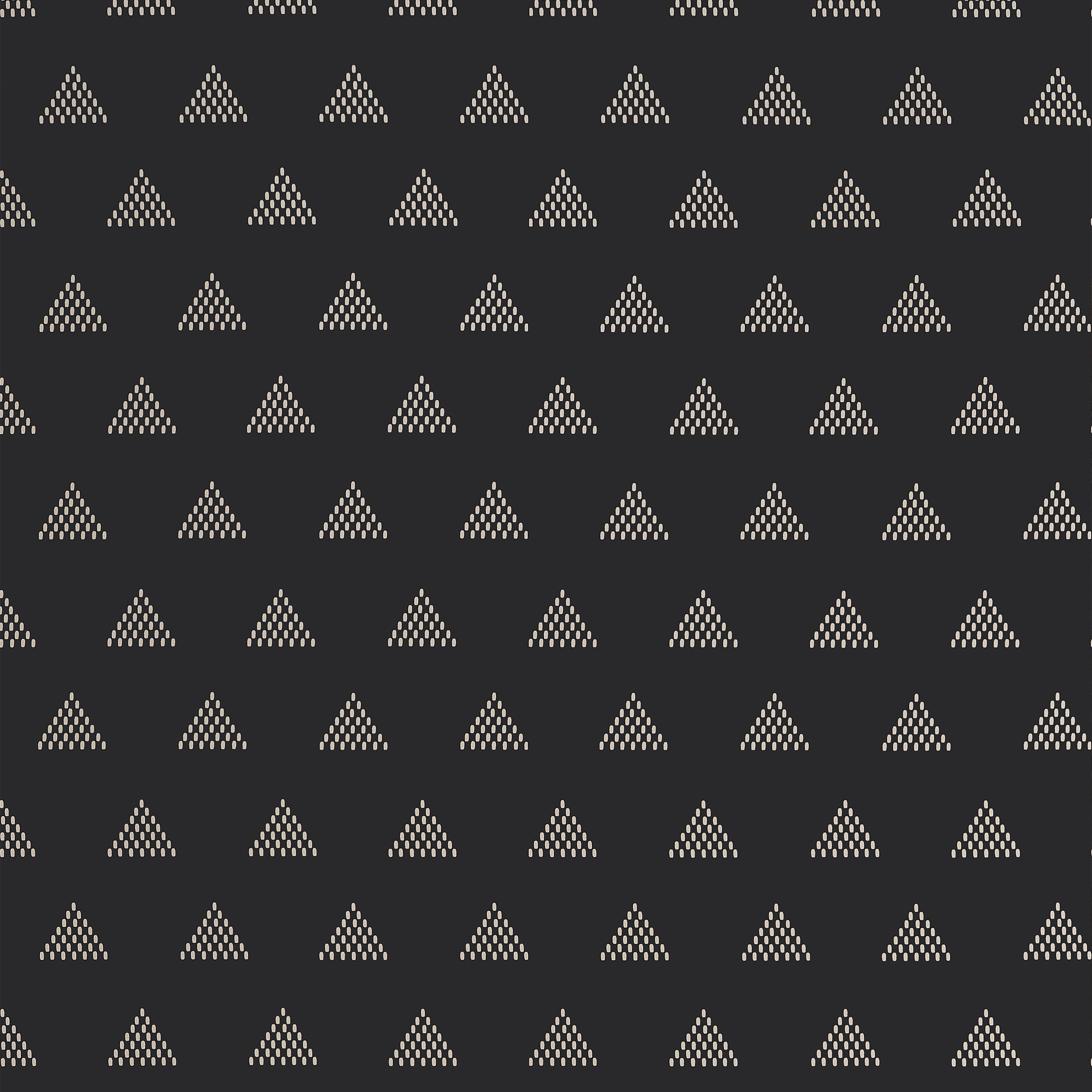 RIDGE - Basalt Black