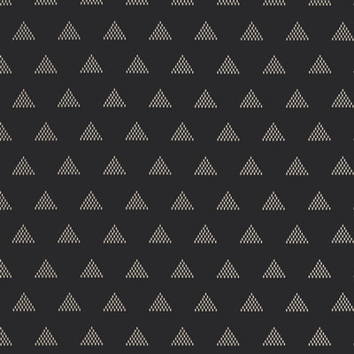 RIDGE - Basalt Black