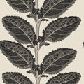 LACINATO - Basalt Black
