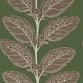 LACINATO - Wild Sage