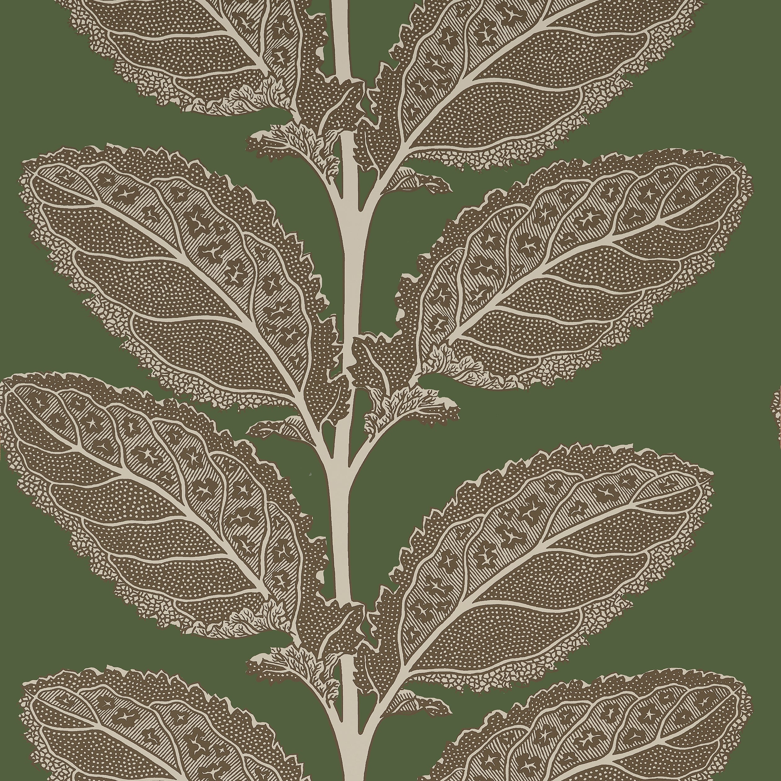 LACINATO - Wild Sage