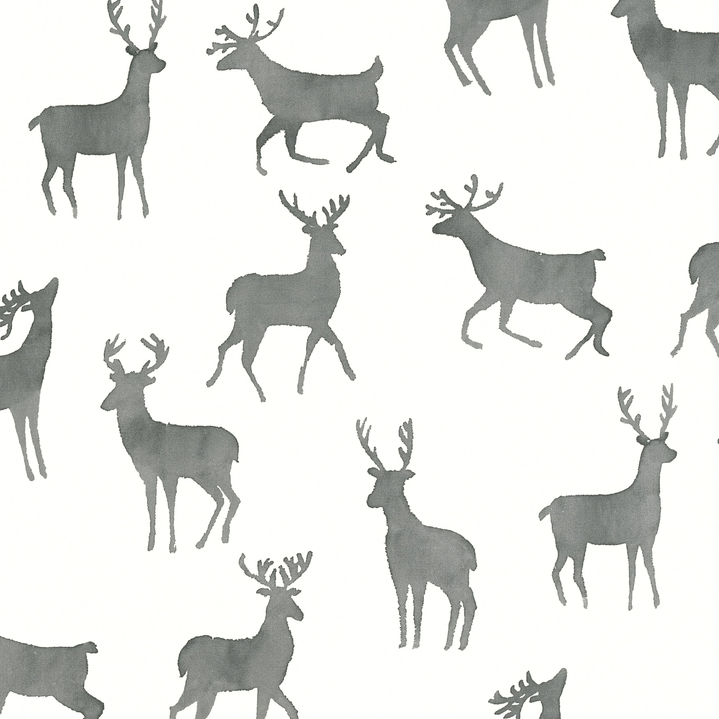BUCKS - Basalt Black
